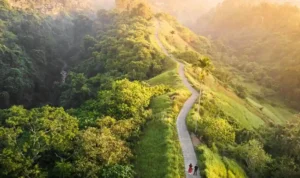 Campuhan Ridge Walk Ubud 2026 untuk Healing yang Mengembalikan Tenang dan Energi Baru