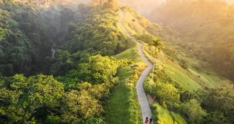 Campuhan Ridge Walk Ubud 2026 untuk Healing yang Mengembalikan Tenang dan Energi Baru